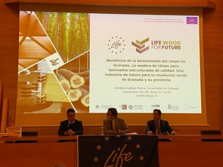 Presentación ante el Consejo Social (MADERA LIFE POR EL FUTURO)