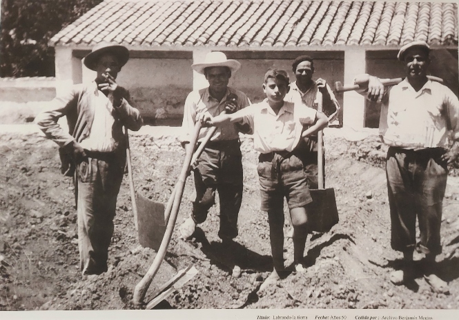 antiguas relacionadas con el cultivo del haba verde del banco de imágenes del Ayuntamiento de Monachil (AYTO. MONACHIL) antiguas relacionadas con el cultivo del haba verde del banco de imágenes del Ayuntamiento de Monachil (AYTO. MONACHIL)