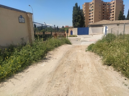 Calle sin asfaltar ni desbrozar en Zona Norte Granada capital (VOX)