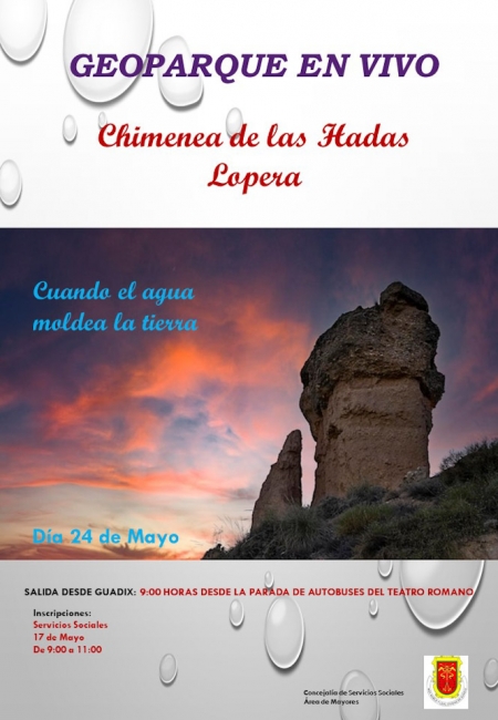 (AYUNTAMIENTO DE GUADIX)