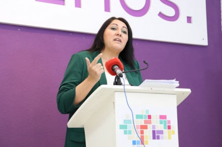 La diputada provincial de Unidas Podemos, Alejandro Durán (UNIDAS PODEMOS)