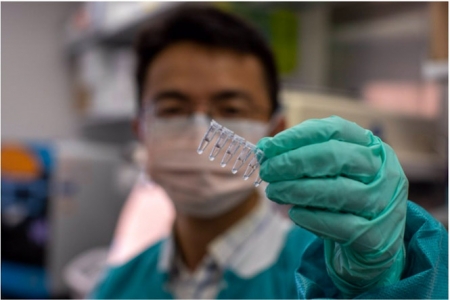 Muestras preparadas con el agente quelante que preserva el ARN del SARS-CoV-2 para su detección por PCR (DUSTIN HAYS, NATIONAL EYE INSTITUTE) 