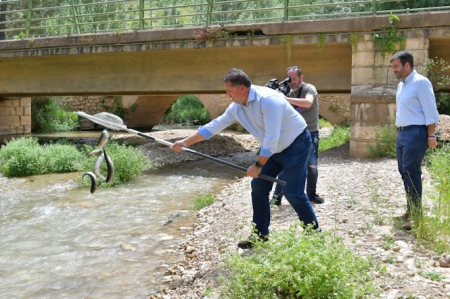 Imagen de la suelta de truchas (JUNTA)