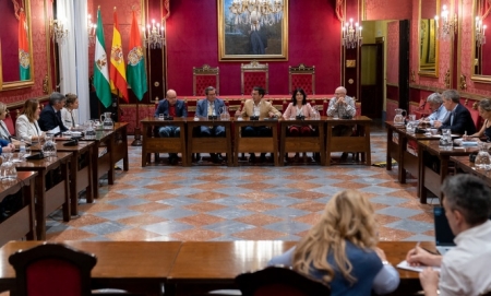 Imagen de la reunión (AYTO. GRANADA) 