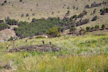Imagen de la Sierra (JUNTA) 