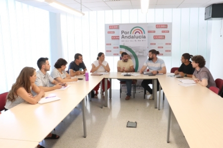 Imagen de la reunión con CCOO (POR ANDALUCIA)