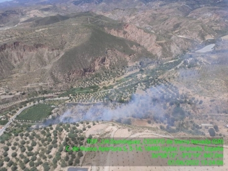 Incendio forestal declarado en Ugíjar (INFOCA)