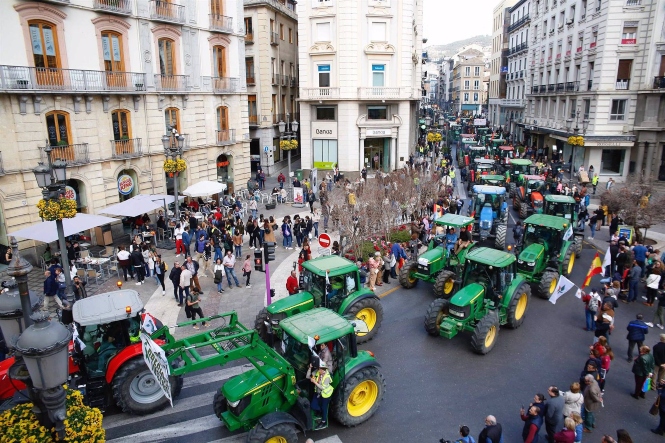 Un grupo de unos 300 manifestantes se ha desviado del itinerario de la tractorada (ÁLEX CÁMARA / EUROPA PRESS)