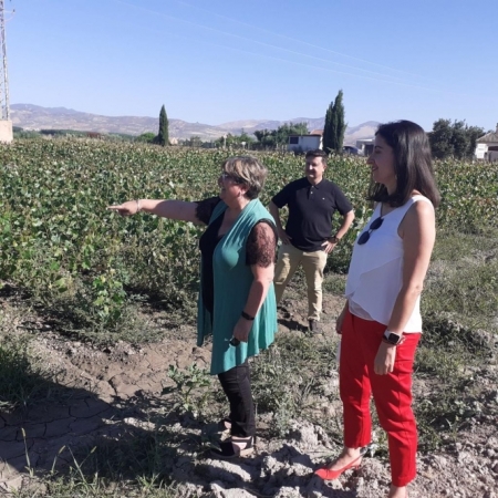 las diputadas provinciales de Empleo y Desarrollo Sostenible, Ana Muñoz, y Medio Ambiente y Protección Animal, María Carmen Fernández (DIPGRA)