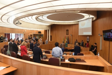 Imagen del pleno de junio (R. PORCEL / DIPGRA)