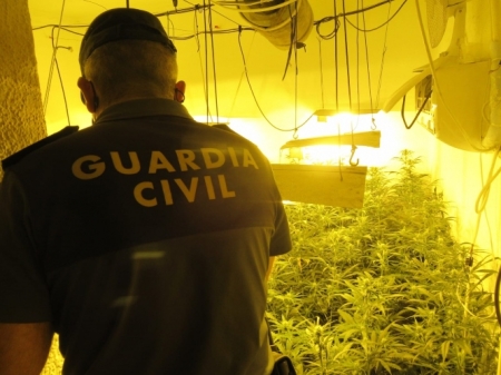 Agente de la Guardia CIvil en una de las plantaciones de marihuana (GUARDIA CIVIL)