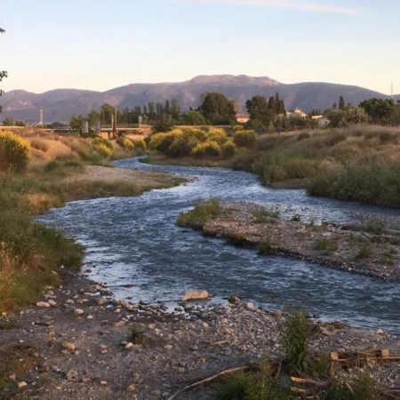 (SOMOS RÍO DÍLAR)