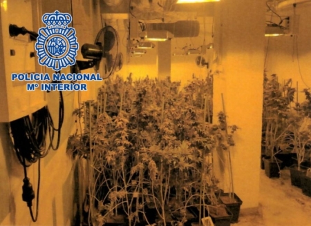 plantación  de marihuana en el sótano (POLICIA LOCAL)