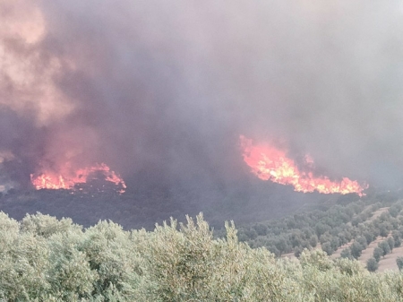 Incendio en Pinos Puente (112)