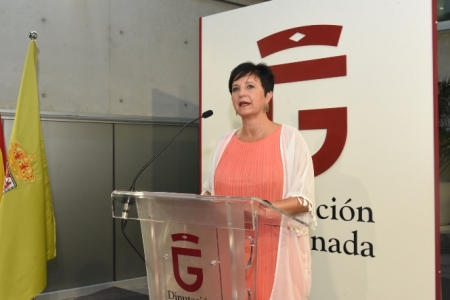 la diputada provincial de Igualdad, Juventud y Administración Electrónica, Mercedes Garzón (ÓSCAR PATILLA)