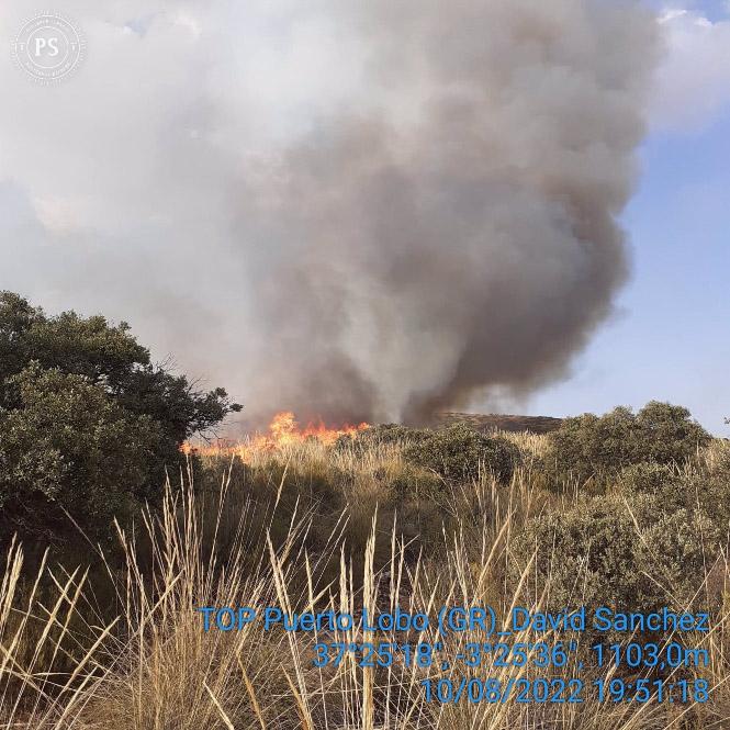 Declarado un incendio forestal en Iznalloz y desplazados 33 bomberos y cuatro medios aéreos (PLAN INFOCA) Declarado un incendio forestal en Iznalloz y desplazados 33 bomberos y cuatro medios aéreos (PLAN INFOCA)