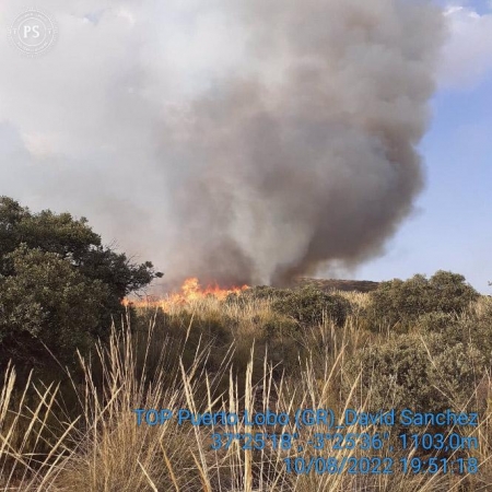 Declarado un incendio forestal en Iznalloz y desplazados 33 bomberos y cuatro medios aéreos (PLAN INFOCA) 