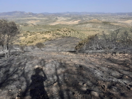 Controlado el incendio del Chorro de las Avispas (TWITTER DEL PLAN INFOCA) 