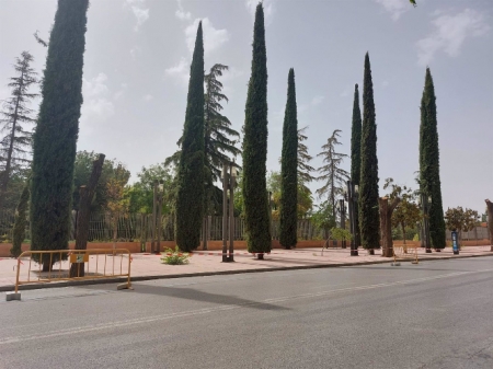 Un conjunto de árboles en los accesos al Parque Lorca, en la calle Arabial (UNIDAS PODEMOS) 