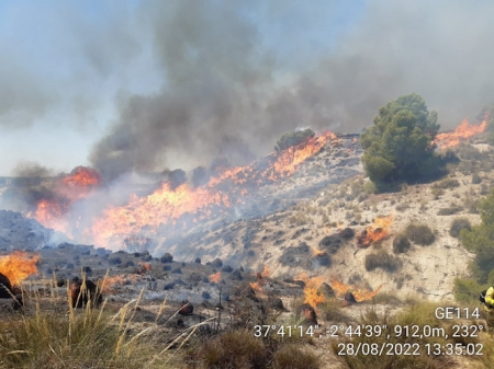 Imagen del incendio en Cortes de Baza, en Granada, tras ser declarado (INFOCA)
