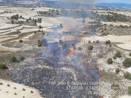 Imagen del incendio de Cortes de Baza (Granada), este pasado domingo (PLAN INFOCA)