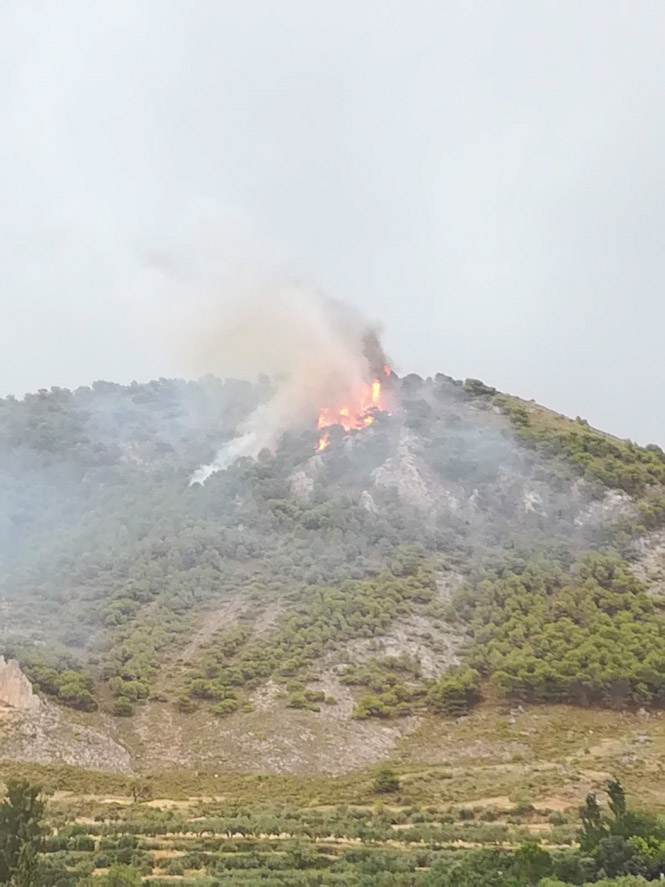 Incendio forestal en el entorno del paraje La Cruz de Nívar, en el área metropolitana de Granada (PLAN INFOCA) Incendio forestal en el entorno del paraje La Cruz de Nívar, en el área metropolitana de Granada (PLAN INFOCA)