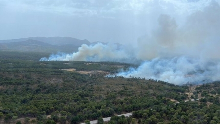 Paraje del Llano de los Alacranes (TWITTER DEL PLAN INFOCA) 