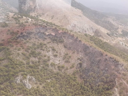 Incendio próximo al paraje La Cruz de Nívar, en imagen de archivo (TWITTER DEL INFOCA) 