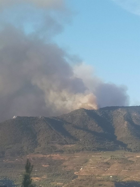 Imagen del incendio en la mañana de este viernes en Los Guájares (EUROPA PRESS)