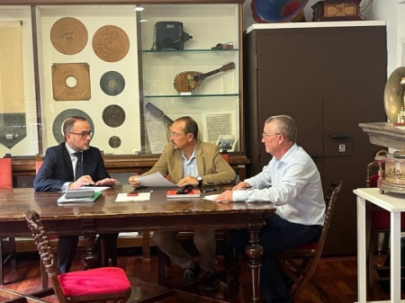 Imagen de la reunión (JUNTA)