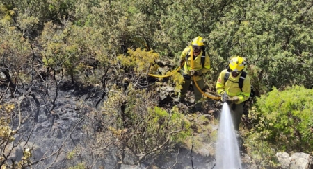 Bomberos forestales del Infoca, en imagen de archivo (PLAN INFOCA)