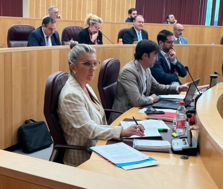 Diputados populares en el pleno de diputación (PP)