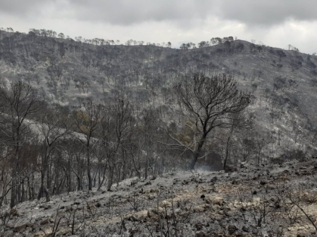 Imagen de la superficie calcinada en el incendio de Los Guajares (PLAN INFOCA)