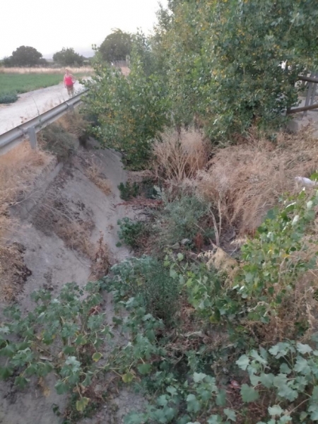 Acequia Gorda (PP) 