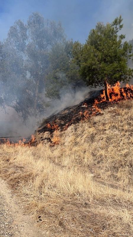 Imagen del incendio (JUNTA DE ANDALUCÍA) 