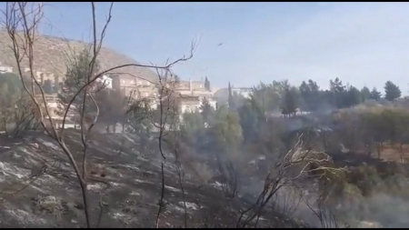 Zona afectada por un incendio en Cenes de la Vega (INFOCA)