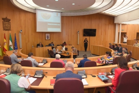 Pleno de la Diputación de Granada (DIPUTACIÓN DE GRANADA)