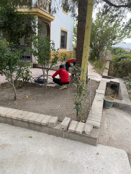 Taller de jardinería (JUNTA)
