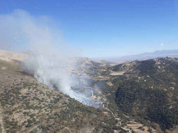 Lugar del incendio (INFOCA) 