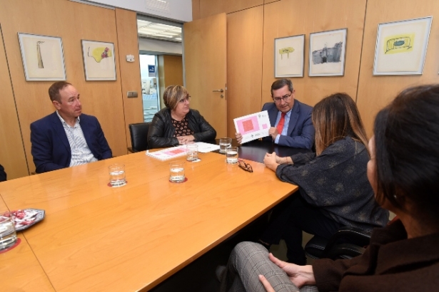 Imagen de la reunión (R. MARTÍNEZ / DIPGRA)