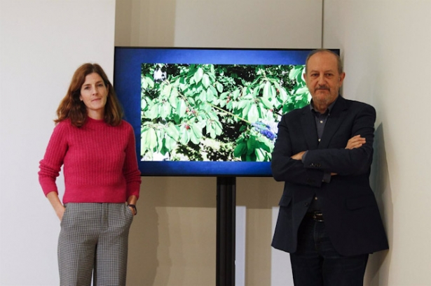 Presentación en Granada de un estudio realizado durante 22 años que encuentra asociación entre la exposición infantil a pesticidas y el adelanto en la pubertad (UGR)