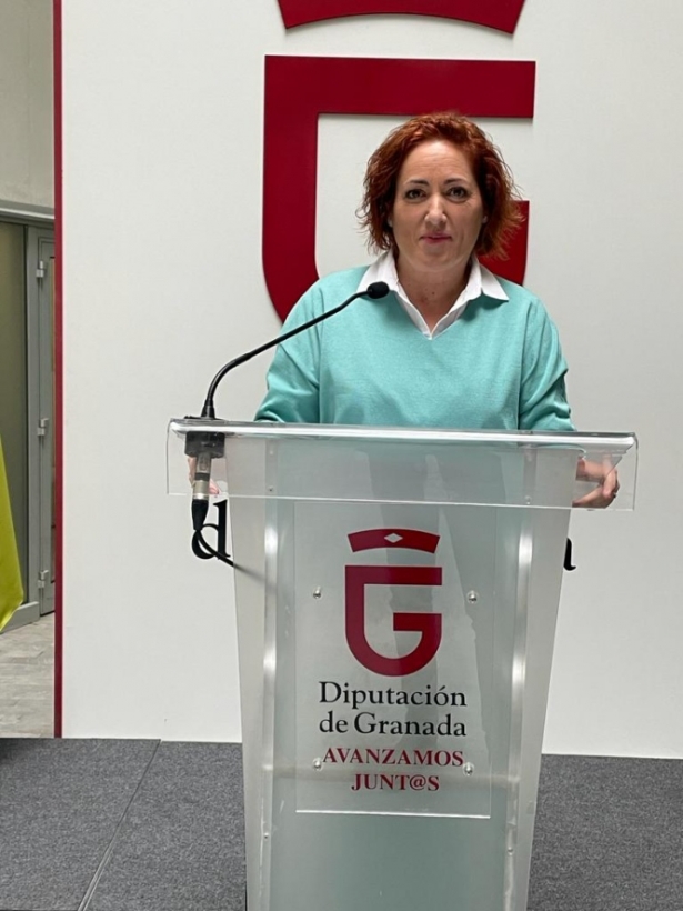 La diputada provincial de IU, Mari Carmen Pérez (IU) 