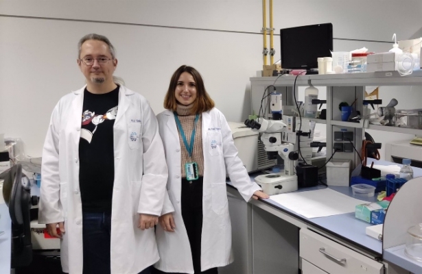 Los autores principales del grupo de investigación de la UGR que han realizado este trabajo, en el Centro de Investigación Biomédica (CIBM) de la UGR. De izquierda a derecha, Enrique J. Cobos del Moral y Mari Carmen Ruiz Cantero. (UGR)