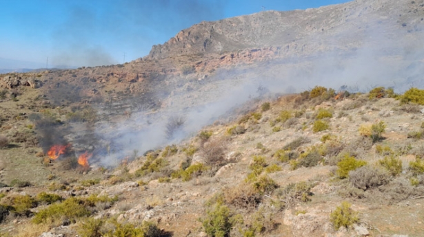 Lugar del incendio (INFOCA)