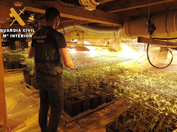 Plantación de marihuana desmantelada por la Guardia Civil. Archivo (GUARDIA CIVIL)