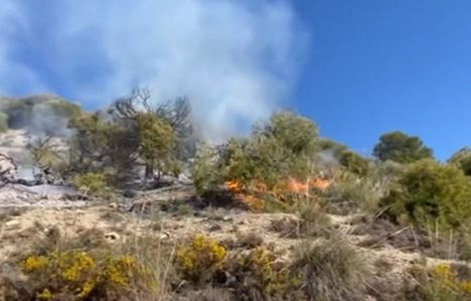 Incendio en el cerro San Miguel (POLICÍA LOCAL GRANADA)