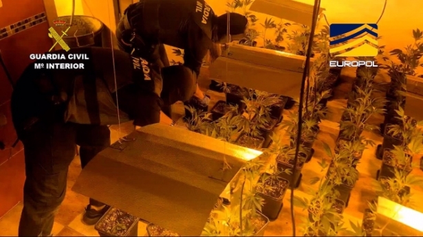 Imagen de las intervenciones por la Operación Zadar en noviembre de 2022 (GUARDIA CIVIL)
