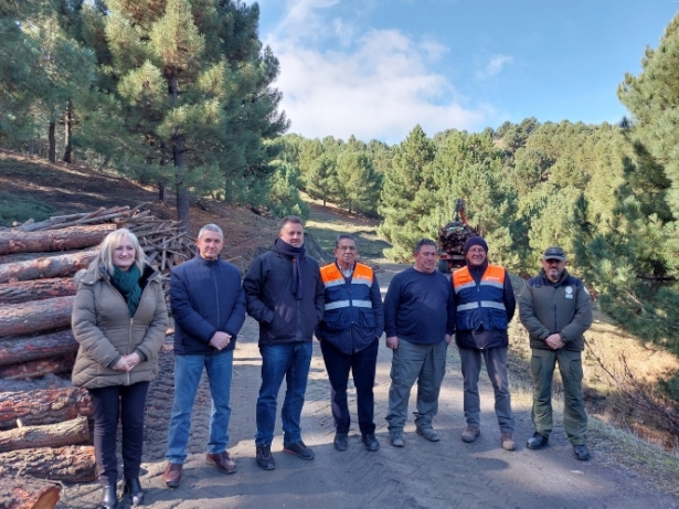 Imagen de la visita al Monte Público de La Peza (JUNTA)