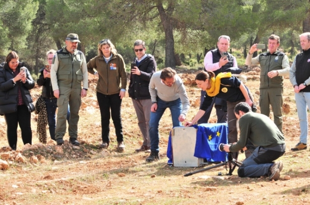 Suelta del lince (JUNTA) 