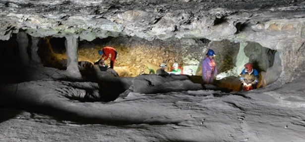 Un equipo de investigadores internacionales hallan el genoma humano más antiguo del sur de la Península Ibérica en una cueva de Granada (UCA)